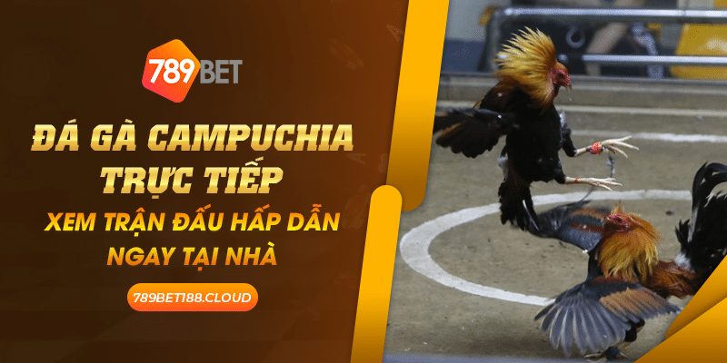 Đá gà Campuchia trực tiếp: Xem trận đấu hấp dẫn ngay tại nhà 1 39 Da ga Campuchia truc tiep Xem tran dau hap dan ngay tai nha
