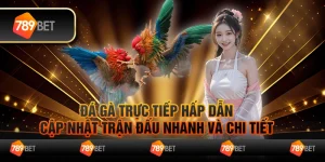 Đá gà trực tiếp hấp dẫn, cập nhật trận đấu nhanh và chi tiết 4 Đá gà trực tiếp hấp dẫn, cập nhật trận đấu nhanh và chi tiết