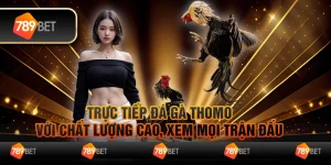 Trực tiếp đá gà Thomo với chất lượng cao, xem mọi trận đấu 3 Trực tiếp đá gà Thomo với chất lượng cao, xem mọi trận đấu