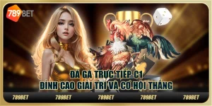 Đá gà trực tiếp C1: Đỉnh cao giải trí và cơ hội thắng 10 Đá gà trực tiếp C1: Đỉnh cao giải trí và cơ hội thắng