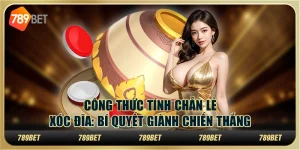 Công Thức Tính Chẵn Lẻ Xóc Đĩa: Bí Quyết Giành Chiến Thắng 2 Công Thức Tính Chẵn Lẻ Xóc Đĩa: Bí Quyết Giành Chiến Thắng