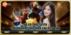 Đá gà trực tuyến: Trải nghiệm cược đỉnh cao kịch tính 1 Đá gà trực tuyến: Trải nghiệm cược đỉnh cao kịch tính