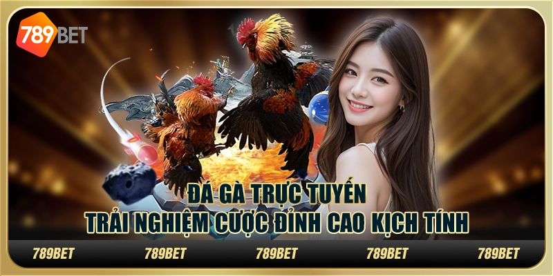 Đá gà trực tuyến: Trải nghiệm cược đỉnh cao kịch tính 1 Đá gà trực tuyến: Trải nghiệm cược đỉnh cao kịch tính