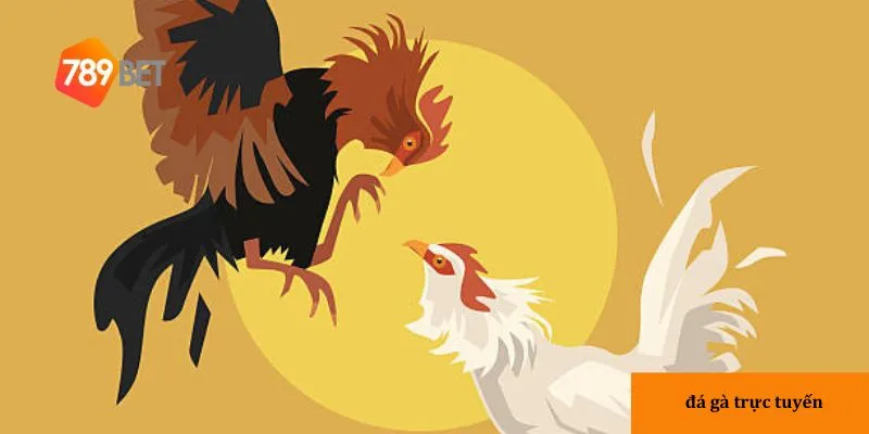 Đá gà trực tuyến: Trải nghiệm cược đỉnh cao kịch tính 2 Đá gà trực tuyến trở thành xu hướng