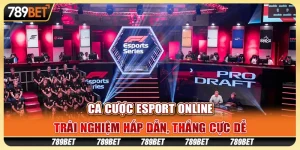 Cá cược esport online: Trải nghiệm hấp dẫn, thắng cực dễ 2 Cá cược esport online: Trải nghiệm hấp dẫn, thắng cực dễ
