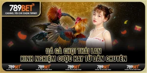 Đá gà chọi Thái Lan: Kinh nghiệm cược hay từ dân chuyên 7 Đá gà chọi Thái Lan: Kinh nghiệm cược hay từ dân chuyên