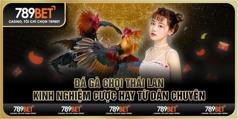 Đá gà chọi Thái Lan: Kinh nghiệm cược hay từ dân chuyên 1 Đá gà chọi Thái Lan: Kinh nghiệm cược hay từ dân chuyên