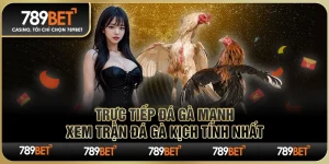 Trực Tiếp Đá Gà Mạnh – Xem Trận Đá Gà Kịch Tính Nhất 5 Trực Tiếp Đá Gà Mạnh – Xem Trận Đá Gà Kịch Tính Nhất