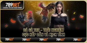 Đá Gà Tre 789BET – Trải Nghiệm Cực Hấp Dẫn Và Kịch Tính 6 Đá Gà Tre 789BET – Trải Nghiệm Cực Hấp Dẫn Và Kịch Tính