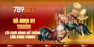 Gà Chọi C1 Thomo - Lối Chơi Bùng Nổ Thắng Lớn Cùng 789BET 5 5-ga-choi-c1-thomo-loi-choi-bung-no-thang-lon-cung-789bet