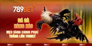 Đá Gà Hàng Xáo – Mẹo Vàng Chinh Phục Thắng Lớn 789BET 1 6-da-ga-hang-xao-meo-vang-chinh-phuc-thang-lon-789bet