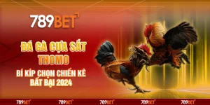 Đá Gà Cựa Sắt Thomo: Bí Kíp Chọn Chiến Kê Bất Bại 2024 4 7-da-ga-cua-sat-thomo-bi-kip-chon-chien-ke-bat-bai-2024