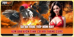 Gà đá trực tiếp hôm nay: Xem đấu kịch tính, cơ hội thắng cược 9 Gà đá trực tiếp hôm nay: Xem đấu kịch tính, cơ hội thắng cược