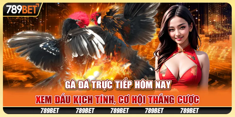 Gà đá trực tiếp hôm nay: Xem đấu kịch tính, cơ hội thắng cược 1 Gà đá trực tiếp hôm nay: Xem đấu kịch tính, cơ hội thắng cược