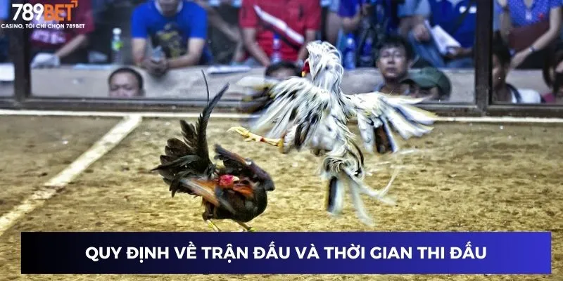 Đá gà chọi Thái Lan: Kinh nghiệm cược hay từ dân chuyên 3 Quy định về trận đấu và thời gian thi đấu