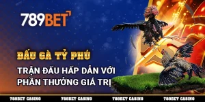 Đấu Gà Tỷ Phú - Trận Đấu Hấp Dẫn Với Phần Thưởng Giá Trị 4 Đấu Gà Tỷ Phú