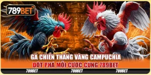 Gà Chiến Thắng Vàng Campuchia - Đột Phá Mỗi Cược Cùng 789BET 8 Gà Chiến Thắng Vàng Campuchia - Đột Phá Mỗi Cược Cùng 789BET
