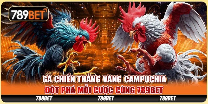 Gà Chiến Thắng Vàng Campuchia - Đột Phá Mỗi Cược Cùng 789BET 1 Gà Chiến Thắng Vàng Campuchia - Đột Phá Mỗi Cược Cùng 789BET