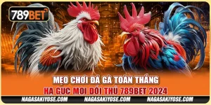 Mẹo Chơi Đá Gà Toàn Thắng – Hạ Gục Mọi Đối Thủ 789BET 2024 10 Mẹo Chơi Đá Gà Toàn Thắng – Hạ Gục Mọi Đối Thủ 789BET 2024