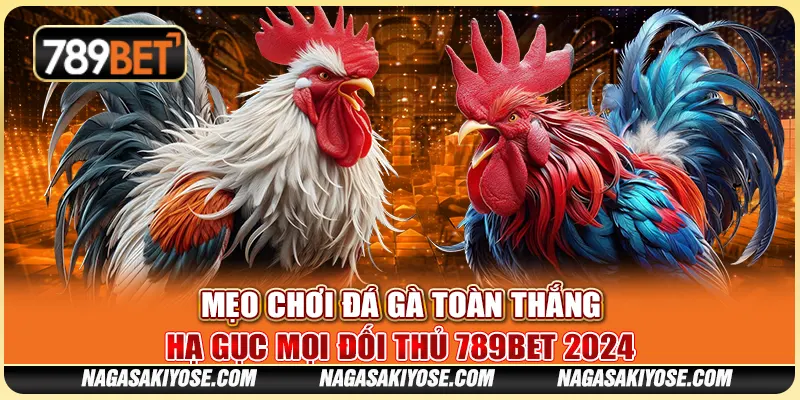 Mẹo Chơi Đá Gà Toàn Thắng – Hạ Gục Mọi Đối Thủ 789BET 2024 1 Mẹo Chơi Đá Gà Toàn Thắng – Hạ Gục Mọi Đối Thủ 789BET 2024