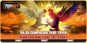 Đá Gà Campuchia Trực Tuyến - Đỉnh Cao Mỗi Cược Tại 789BET 9 Đá Gà Campuchia Trực Tuyến - Đỉnh Cao Mỗi Cược Tại 789BET