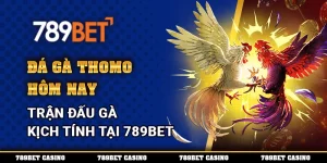 Đá Gà Tho Mo Hôm Nay – Trận Đấu Gà Kịch Tính Tại 789BET 3 Đá Gà Tho Mo Hôm Nay – Trận Đấu Gà Kịch Tính Tại 789BET