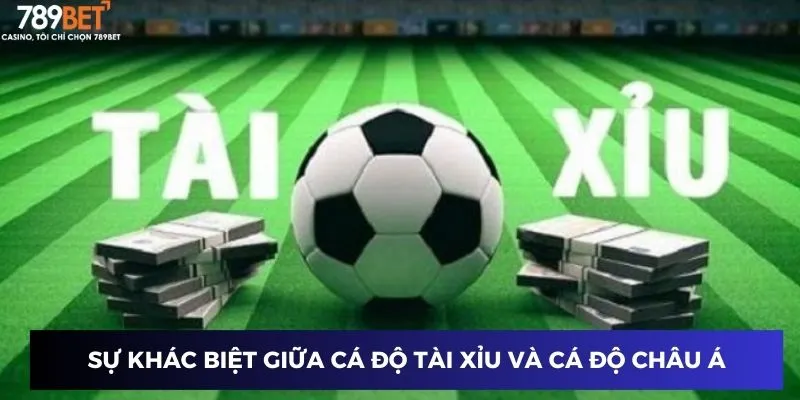 Cách Cá Độ Bóng Đá Tài Xỉu - Bí Quyết Chiến Thắng Cực Dễ 2 Sự khác biệt giữa cá độ tài xỉu và cá độ châu Á