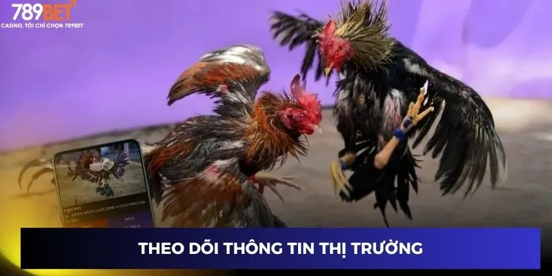 Mẹo Chơi Đá Gà Toàn Thắng – Hạ Gục Mọi Đối Thủ 789BET 2024 3 Theo dõi thông tin thị trường