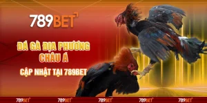 Đá Gà Địa Phương Châu Á - Cập Nhật Tại Nhà Cái 789bet 2 Đá Gà Địa Phương Châu Á - Cập Nhật Tại Nhà Cái 789bet