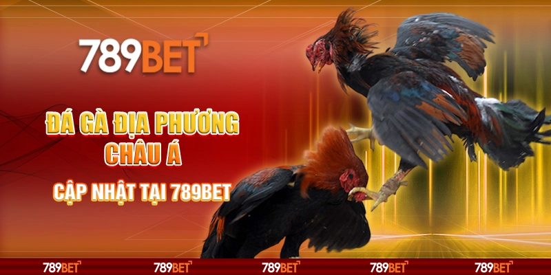 Đá Gà Địa Phương Châu Á - Cập Nhật Tại Nhà Cái 789bet 1 Đá Gà Địa Phương Châu Á - Cập Nhật Tại Nhà Cái 789bet