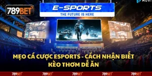 Mẹo cá cược Esports - Cách nhận biết kèo thơm dễ ăn 10 Mẹo cá cược Esports - Cách nhận biết kèo thơm dễ ăn