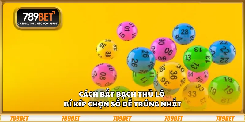 Cách bắt bạch thủ lô - Bí kíp chọn số dễ trúng nhất 1 Cách bắt bạch thủ lô - Bí kíp chọn số dễ trúng nhất