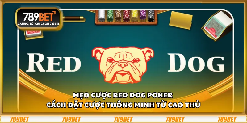Mẹo cược Red Dog Poker – Cách đặt cược thông minh từ cao thủ 1 Mẹo cược Red Dog Poker – Cách đặt cược thông minh từ cao thủ