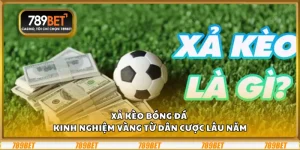 Xả kèo bóng đá – Kinh nghiệm vàng từ dân cược lâu năm 3 Xả kèo bóng đá – Kinh nghiệm vàng từ dân cược lâu năm