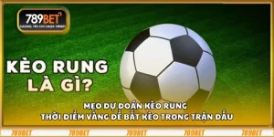 Mẹo dự đoán kèo rung - Thời điểm vàng để bắt kèo trong trận đấu 1 Mẹo dự đoán kèo rung - Thời điểm vàng để bắt kèo trong trận đấu