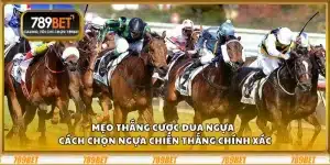Mẹo thắng cược đua ngựa - Cách chọn ngựa chiến thắng chính xác 7 Mẹo thắng cược đua ngựa - Cách chọn ngựa chiến thắng chính xác