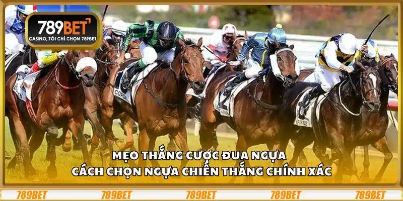 Mẹo thắng cược đua ngựa - Cách chọn ngựa chiến thắng chính xác 1 Mẹo thắng cược đua ngựa - Cách chọn ngựa chiến thắng chính xác